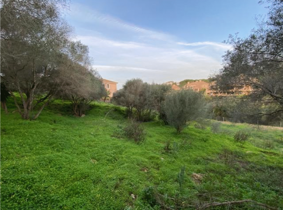 Residential plot for sale in San Roque, Cádiz — green land with mature trees and open views, ideal for building a villa near Sotogrande and Costa del Sol.