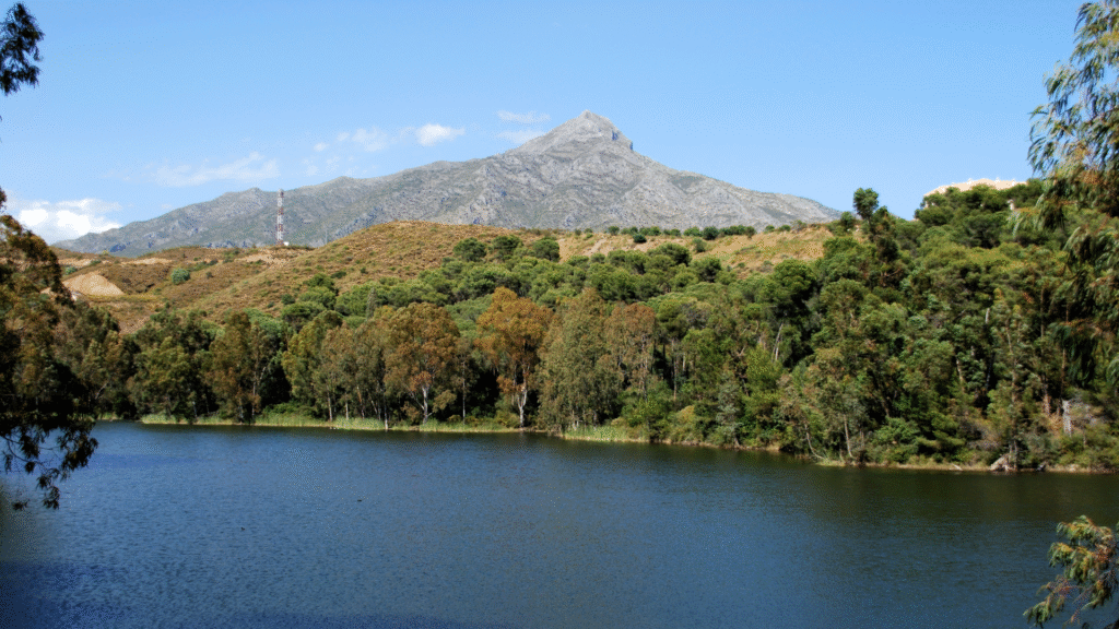 iew of La Concha mountain and lake in Nueva Andalucía, Marbella — surrounded by lush Mediterranean greenery under a clear blue sky-Quintessentia Property Advisors