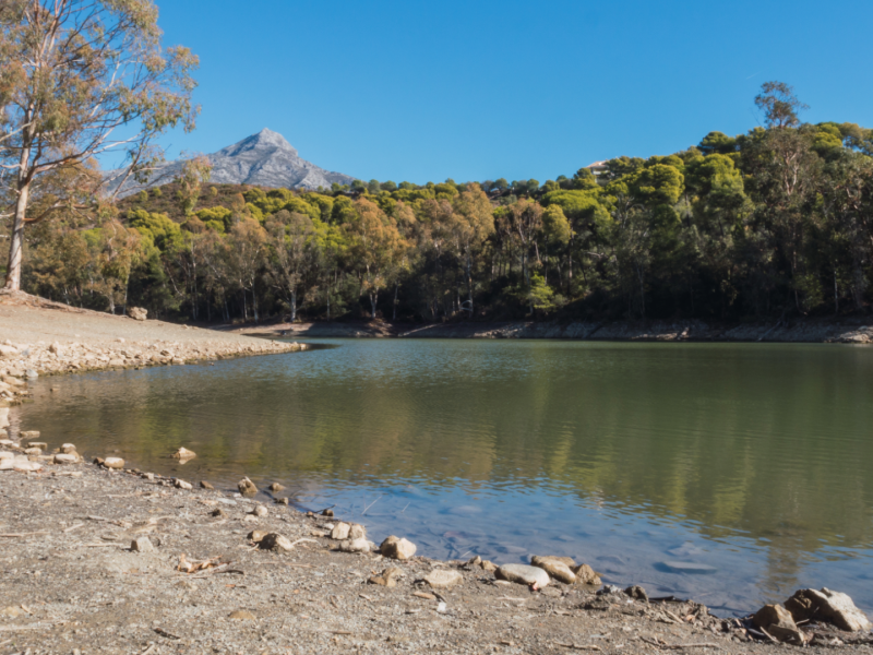 Peaceful lake surrounded by trees and mountains in Nueva Andalucía, one of the best areas in Nueva Andalucia and a popular place for expats to settle on the Costa del Sol.