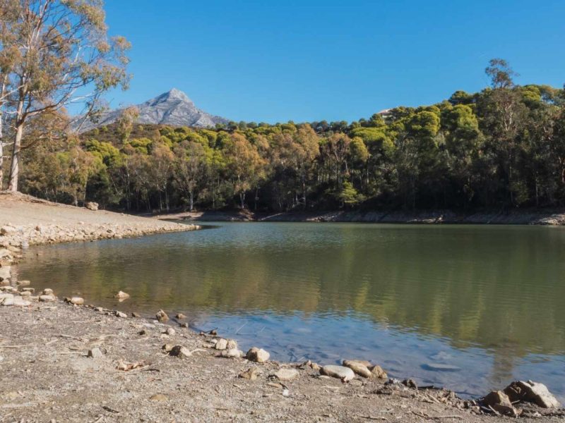 Lake and mountain landscape near Nueva Andalucía, Marbella, surrounded by pine trees and natural scenery